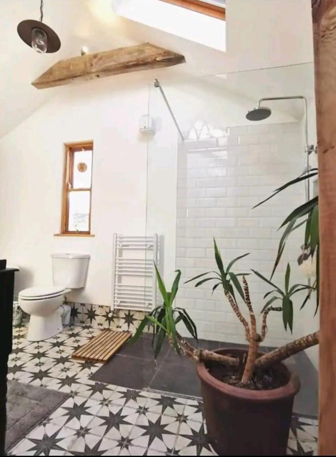 코크 The Carton Store Loft Apt 아파트 외부 사진